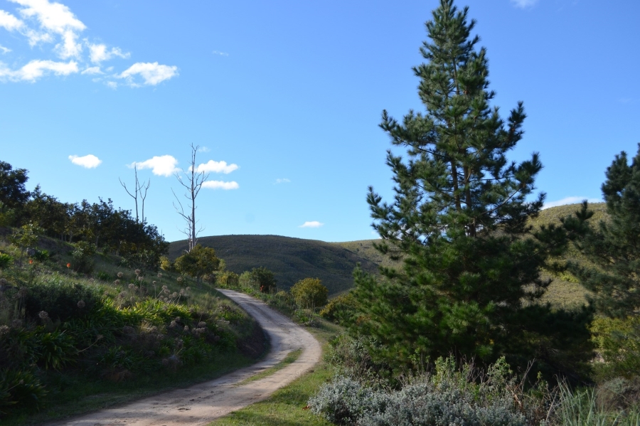 0 Bedroom Property for Sale in Herbertsdale Western Cape